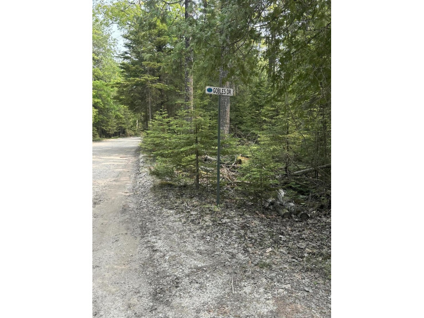 Secluded 2.40acre lot and 424.40 of waterfront on Lake Huron - photo 4