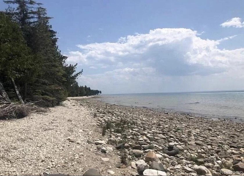Secluded 2.40acre lot and 424.40 of waterfront on Lake Huron - photo 8