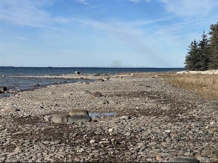 Secluded 2.40acre lot and 424.40 of waterfront on Lake Huron - photo 9
