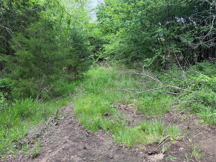 If you're looking for a turnkey hunting property, this 40-acre - photo 4