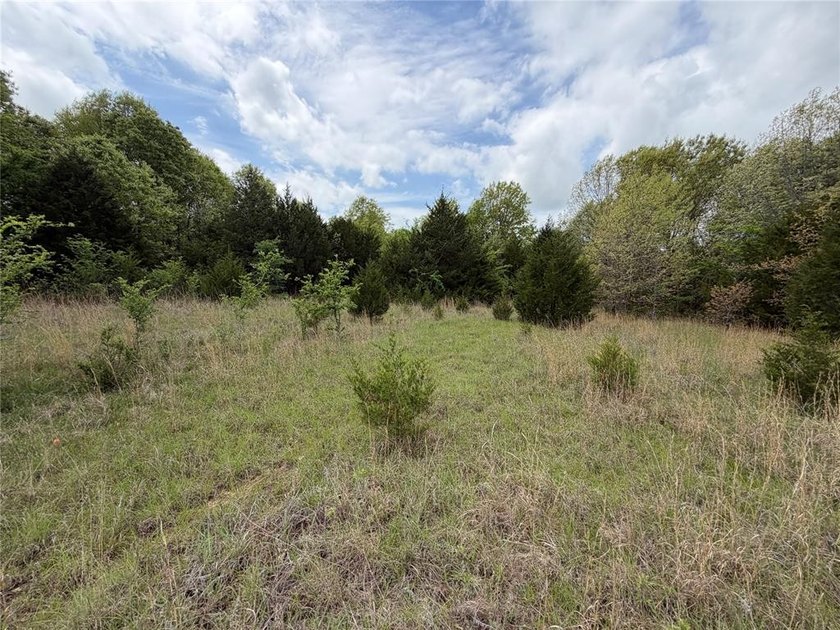 If you're looking for a turnkey hunting property, this 40-acre - photo 5
