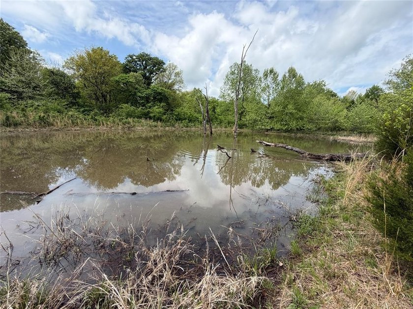 If you're looking for a turnkey hunting property, this 40-acre - photo 6