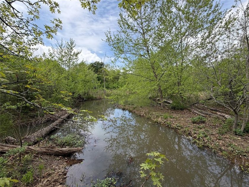 If you're looking for a turnkey hunting property, this 40-acre - photo 10