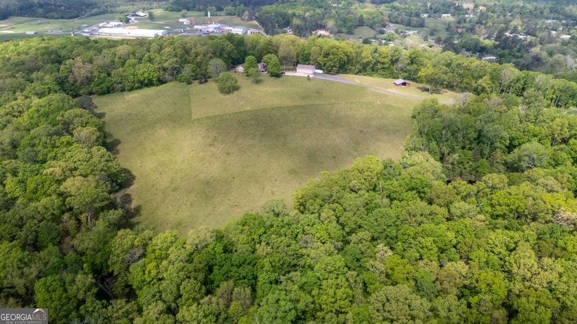 38 +/- Acres with Mountain Views &amp; Multiple Building Sites - photo 11