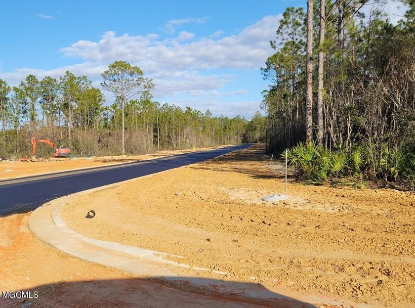 Welcome to the newest neighborhood on ''The Island'' Brookestone - photo 11