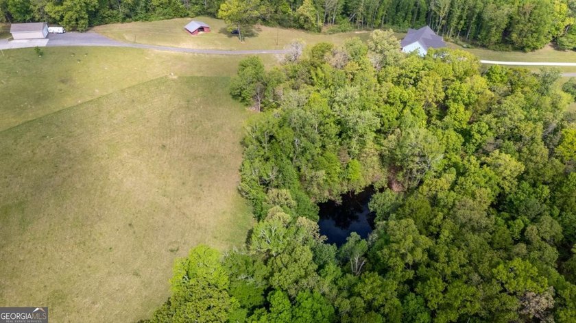 38 +/- Acres with Mountain Views &amp; Multiple Building Sites - photo 12