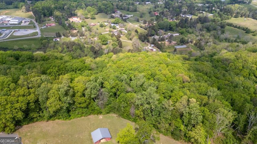 38 +/- Acres with Mountain Views &amp; Multiple Building Sites - photo 13