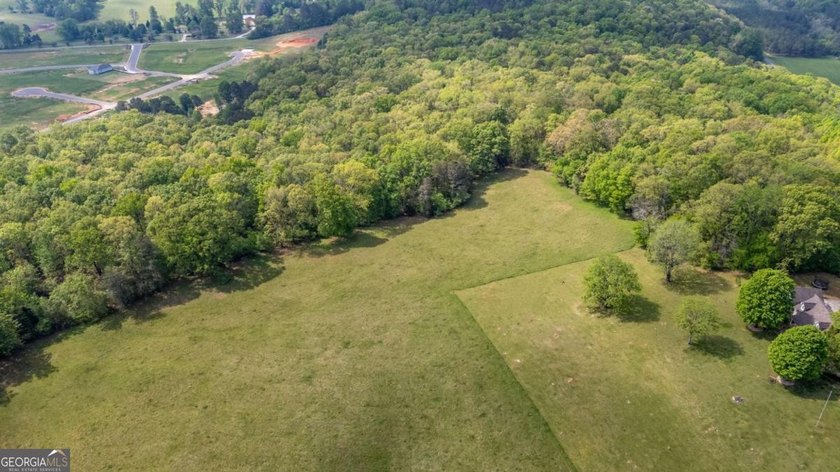 38 +/- Acres with Mountain Views &amp; Multiple Building Sites - photo 14
