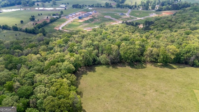38 +/- Acres with Mountain Views &amp; Multiple Building Sites - photo 15