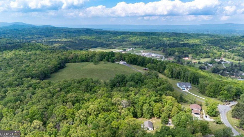 38 +/- Acres with Mountain Views &amp; Multiple Building Sites - photo 17