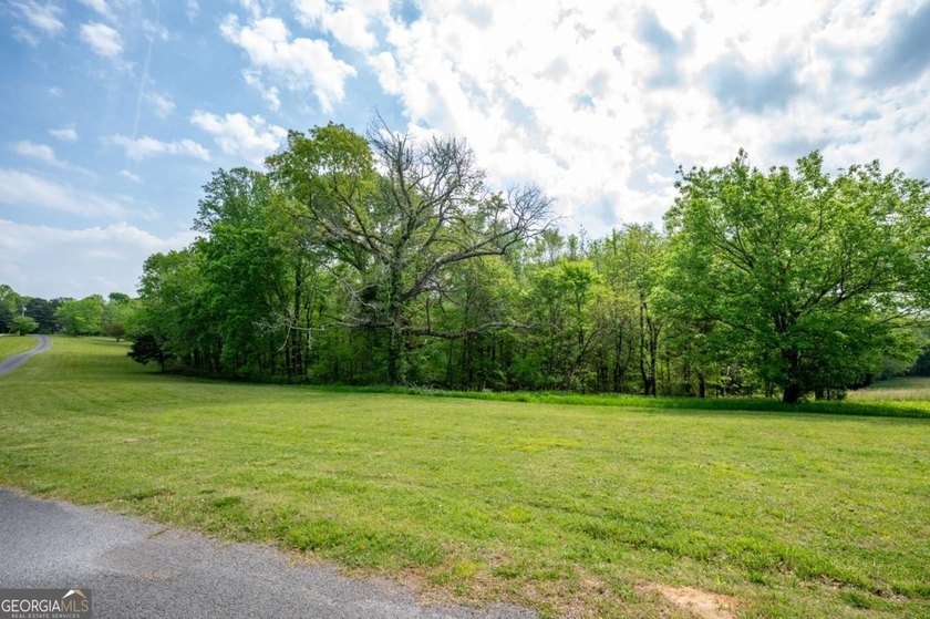 38 +/- Acres with Mountain Views &amp; Multiple Building Sites - photo 20