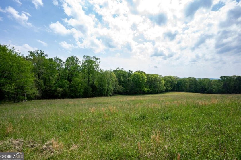 38 +/- Acres with Mountain Views &amp; Multiple Building Sites - photo 22