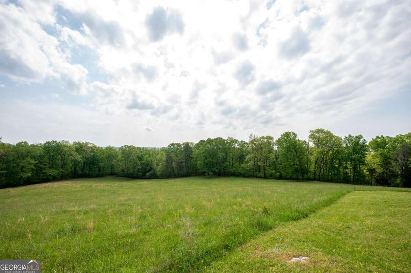38 +/- Acres with Mountain Views &amp; Multiple Building Sites - photo 23