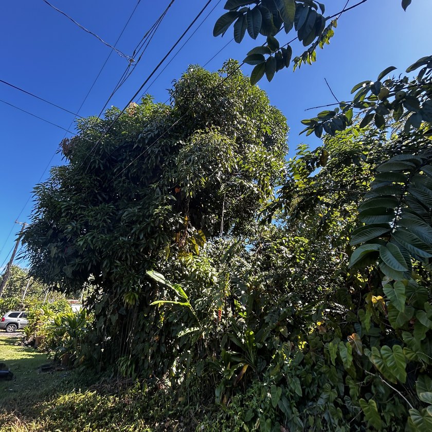 One of three Adjacent Lots in Hawaiian Beaches to be sold - photo 5