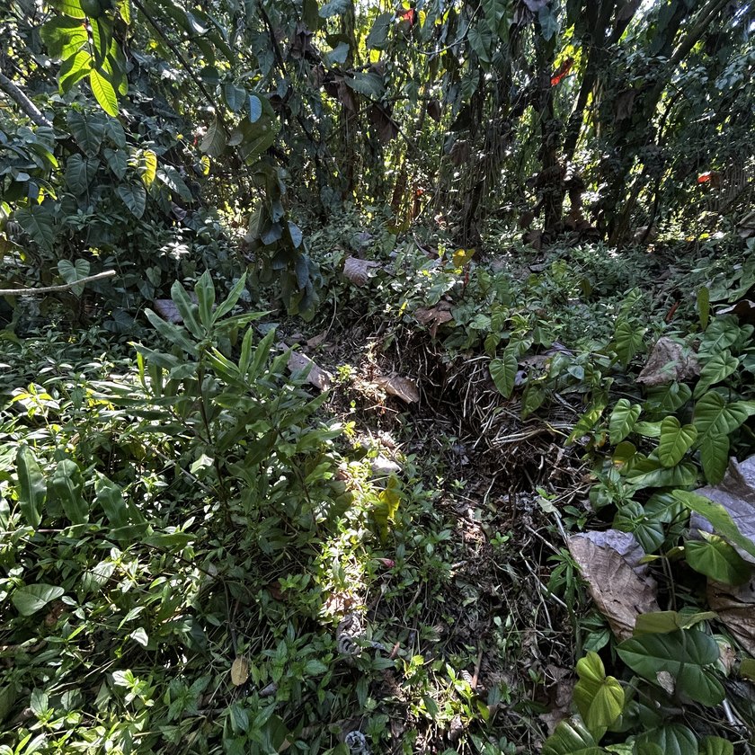 One of three Adjacent Lots in Hawaiian Beaches to be sold - photo 8