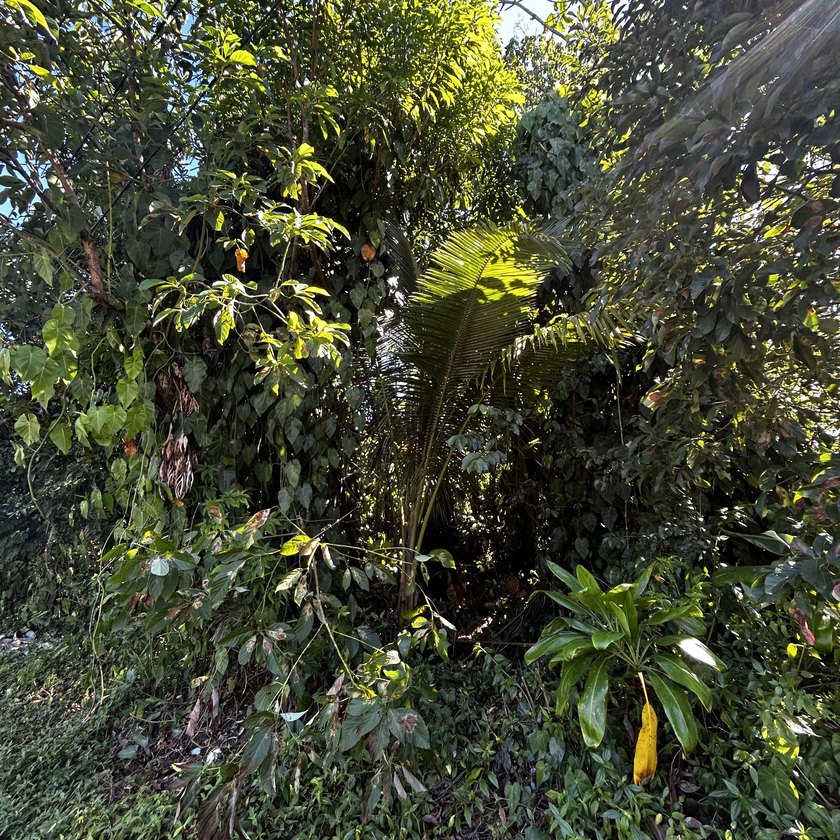 One of three Adjacent Lots in Hawaiian Beaches to be sold - photo 9