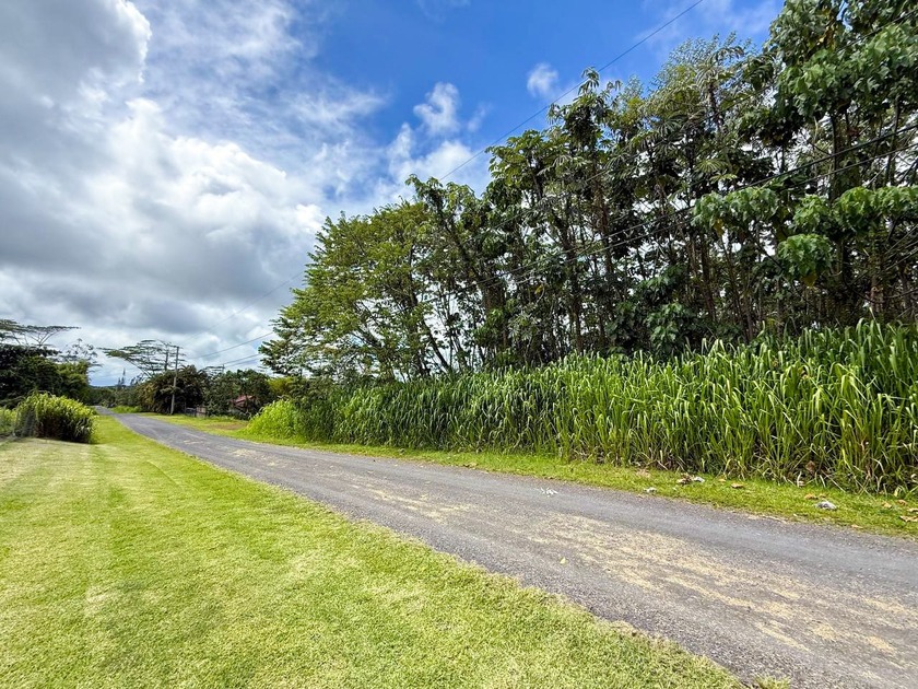 For Sale: 1-Acre Lot in Hawaiian Paradise Park - $128,000 - photo 3