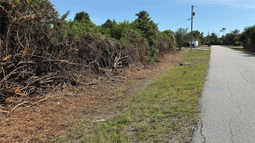 Build your future Florida home on this peaceful freshwater canal - photo 3