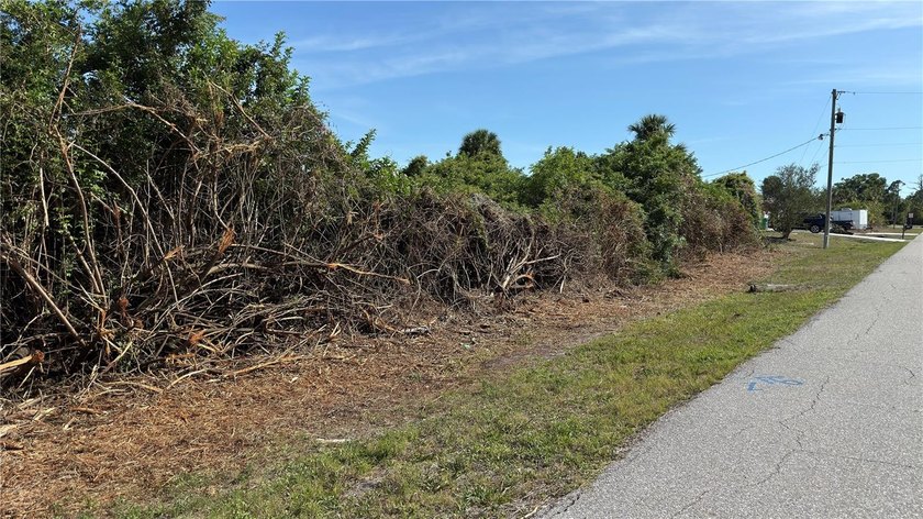 Build your future Florida home on this peaceful freshwater canal - photo 4