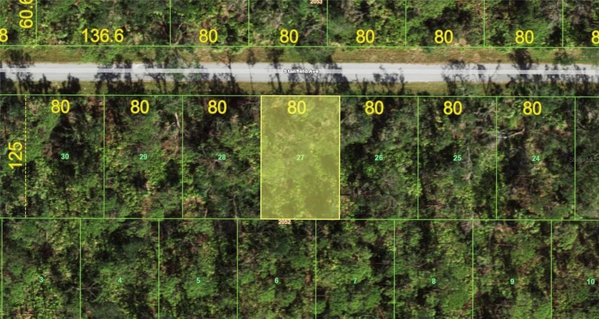 Build your custom Florida retreat on this prime .23-acre - photo 3