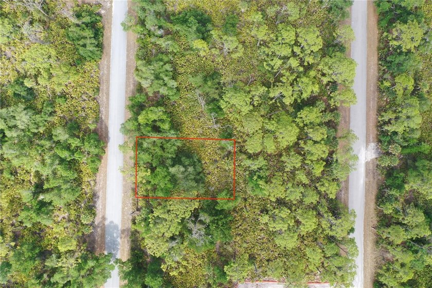 Build your custom Florida retreat on this prime .23-acre - photo 8