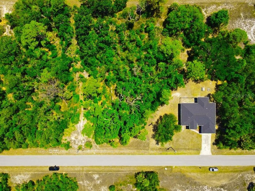 Build your Florida dream home on this affordable vacant lot - photo 3