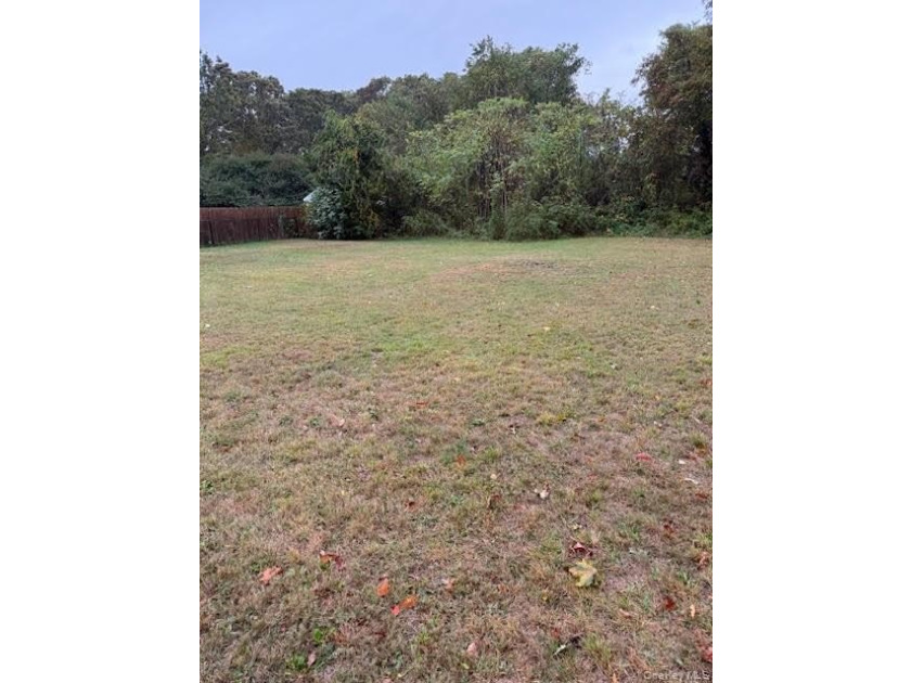 Flat 1/2 buildable acre with proper approvals and building - photo 3