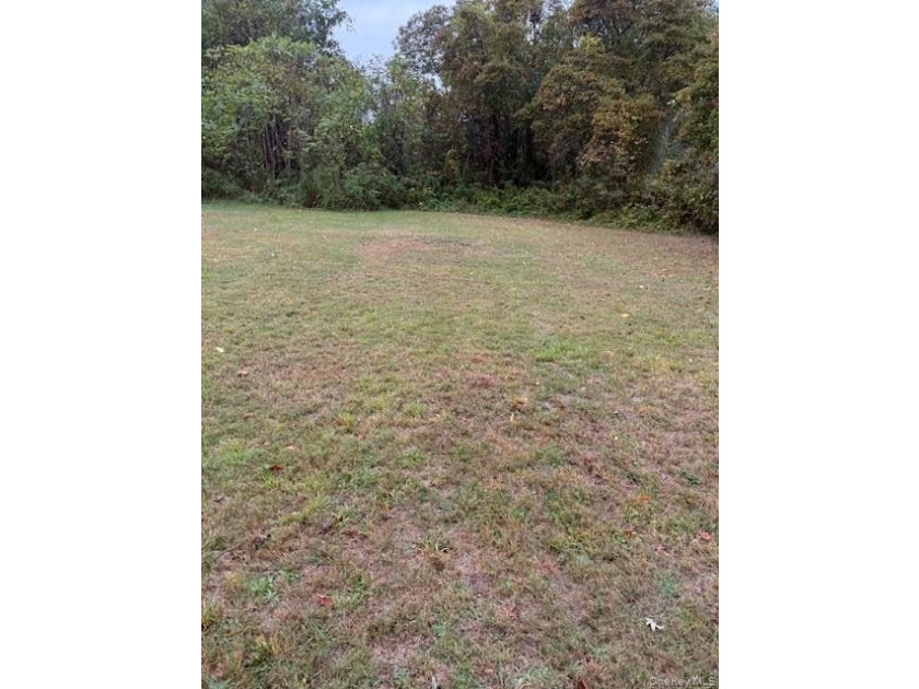 Flat 1/2 buildable acre with proper approvals and building - photo 5