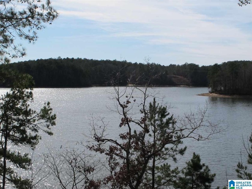 THIS IS A RESTRICTED LOT WITH 110 FEET OF SHORELINE WITH YEAR - photo 4