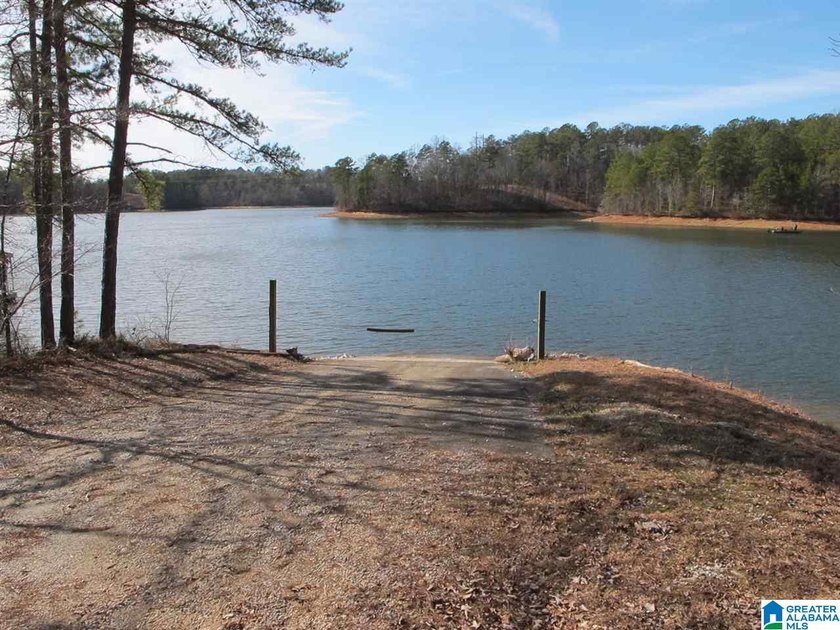 THIS IS A RESTRICTED LOT WITH 110 FEET OF SHORELINE WITH YEAR - photo 5