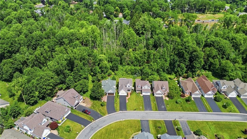 Welcome to 770 Bel Arbor Trail, where refined first-floor living - photo 46