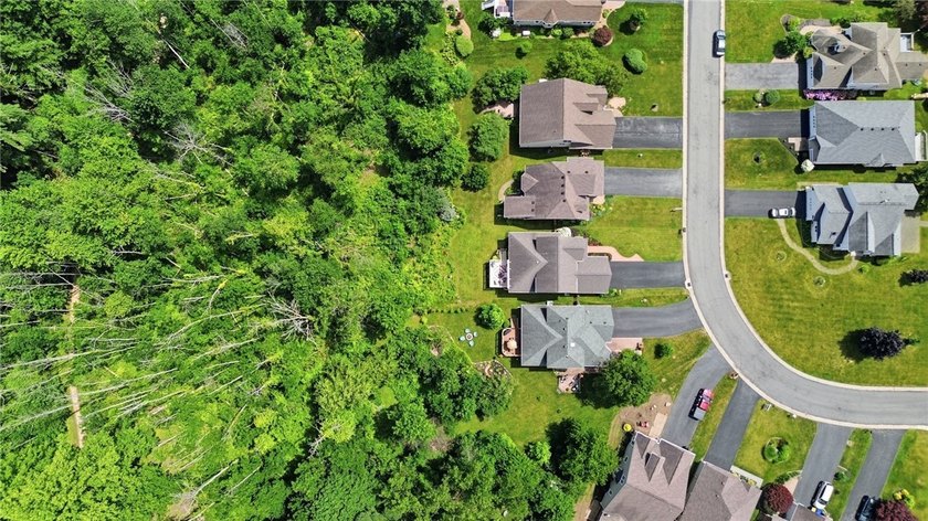 Welcome to 770 Bel Arbor Trail, where refined first-floor living - photo 48