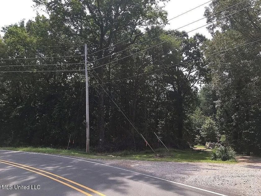 Prime 36-Acre Wooded Property with Development Potential - - photo 14