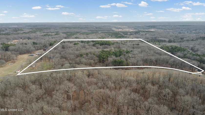 Prime 36-Acre Wooded Property with Development Potential - - photo 15