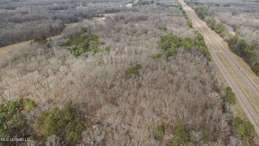 Prime 36-Acre Wooded Property with Development Potential - - photo 24