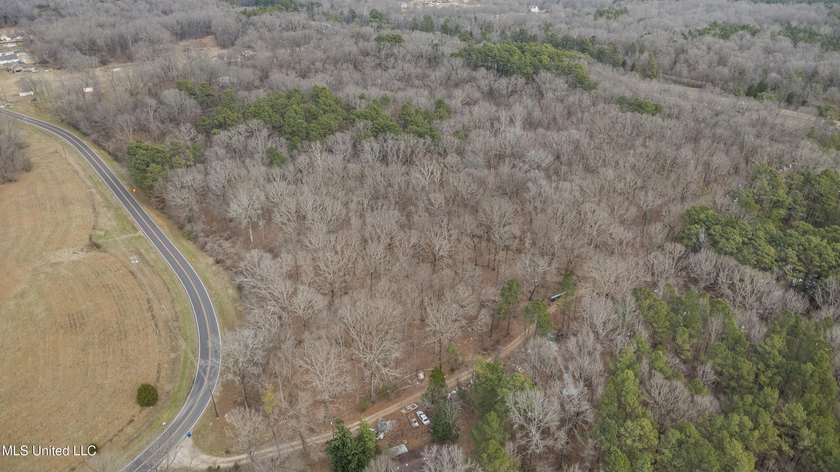 Prime 36-Acre Wooded Property with Development Potential - - photo 26
