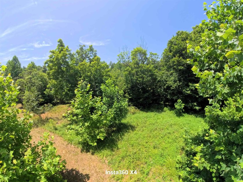 Escape to Paradise Near Lake Monroe! Discover 15+/- pristine - photo 9
