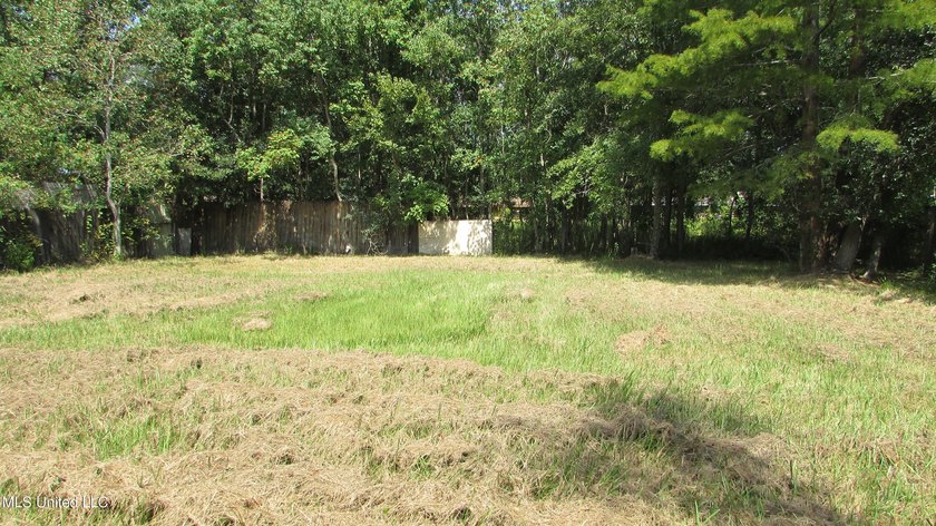 3 bedroom 2 bath home being sold as-is. Newer roof for lower - photo 9