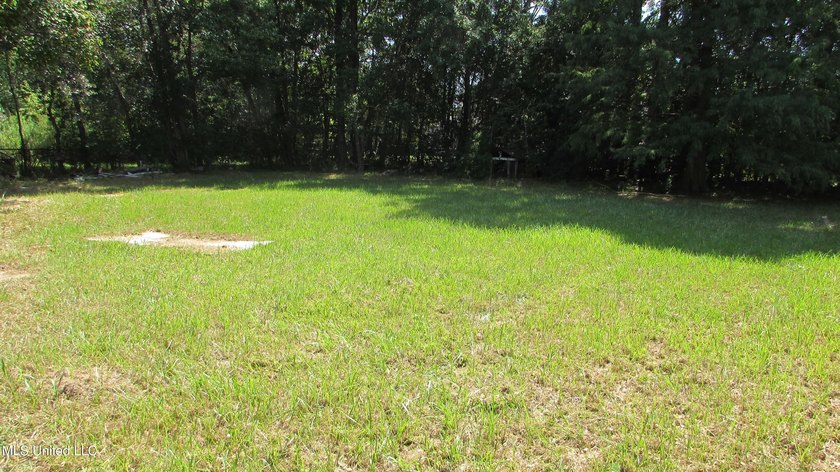 3 bedroom 1.5 bath brick home could be investment or starter - photo 3