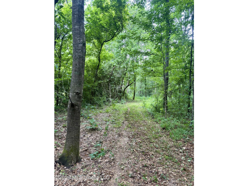 Welcome to your own private recreational retreat on this +/- 24 - photo 11