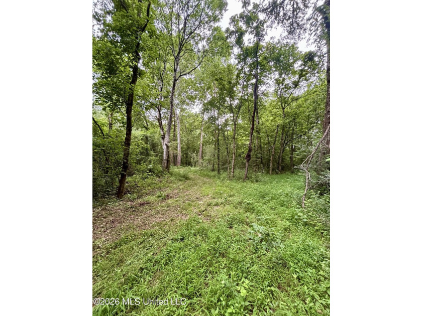 Welcome to your own private recreational retreat on this +/- 24 - photo 12