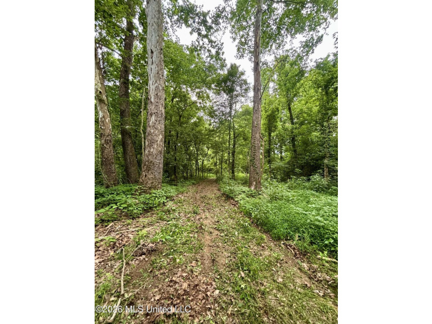 Welcome to your own private recreational retreat on this +/- 24 - photo 13