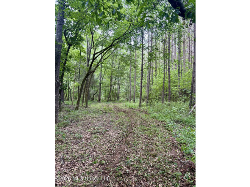 Welcome to your own private recreational retreat on this +/- 24 - photo 15
