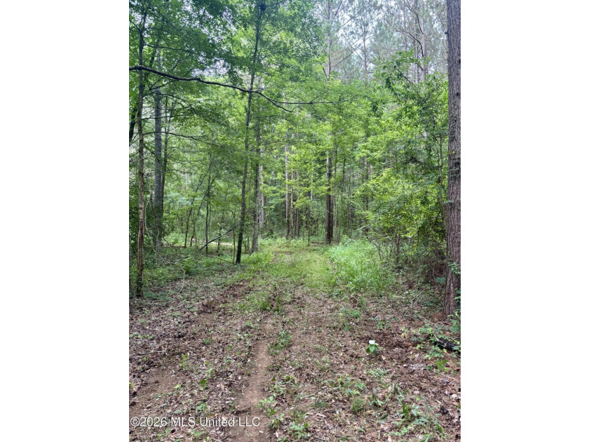 Welcome to your own private recreational retreat on this +/- 24 - photo 16