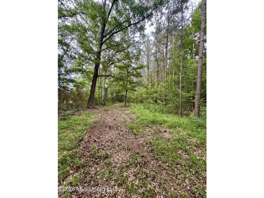 Welcome to your own private recreational retreat on this +/- 24 - photo 17