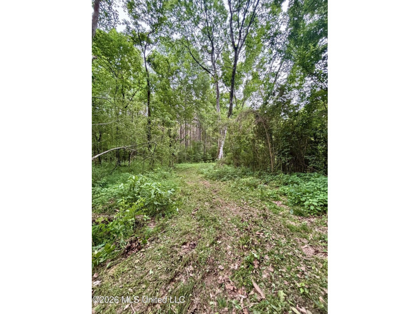 Welcome to your own private recreational retreat on this +/- 24 - photo 19