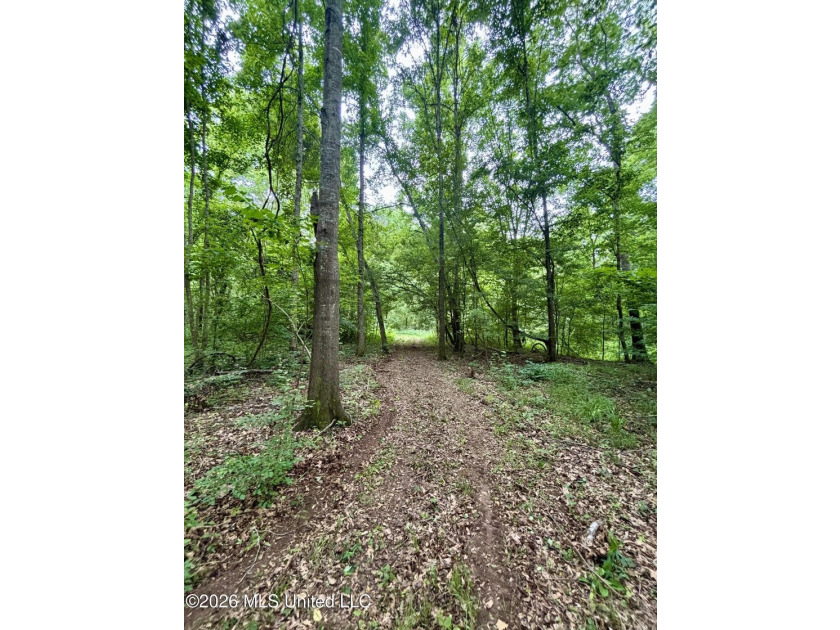 Welcome to your own private recreational retreat on this +/- 24 - photo 20