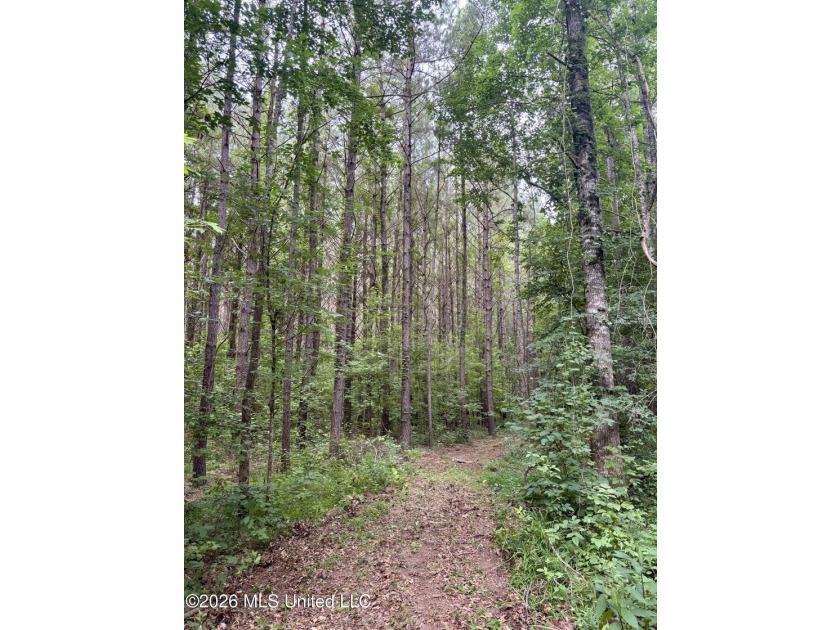 Welcome to your own private recreational retreat on this +/- 24 - photo 23