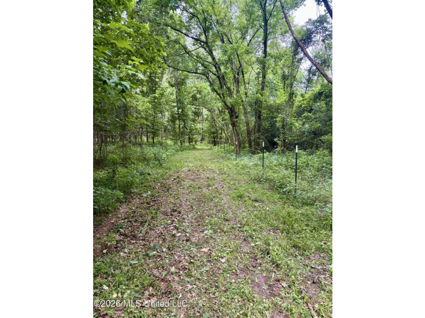 Welcome to your own private recreational retreat on this +/- 24 - photo 25
