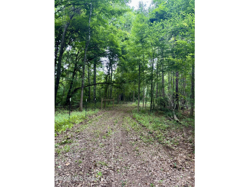 Welcome to your own private recreational retreat on this +/- 24 - photo 30